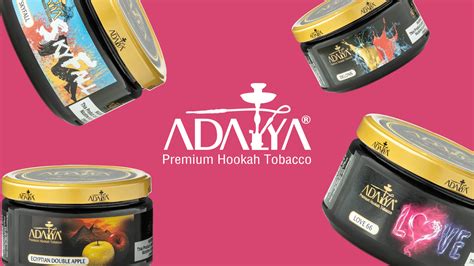 10 Best Adalya Flavors You Must Try with Friends!.